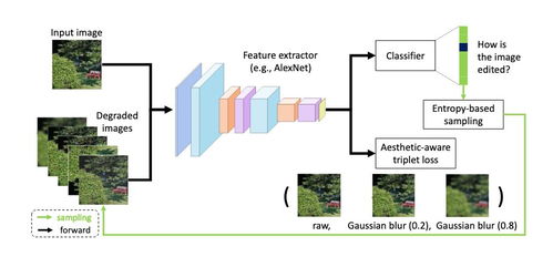 重新审视图像美学评估 寻找精彩片段聚焦点——AAAI 2020上快手在人工智能应用软件开发中的探索
