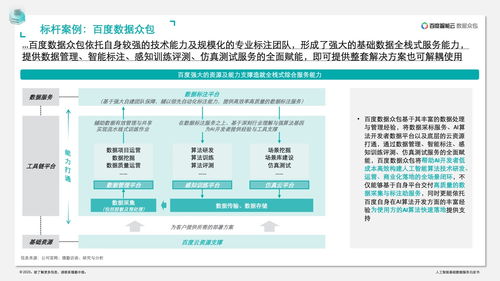德勤咨讯 人工智能基础数据服务在新兴应用中的关键驱动